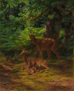 Hjort i hvile, 1867